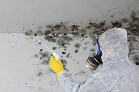 Best HVAC Mold Inspection and Cleaning  in Orange Lake, NY